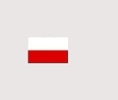 wersja polska